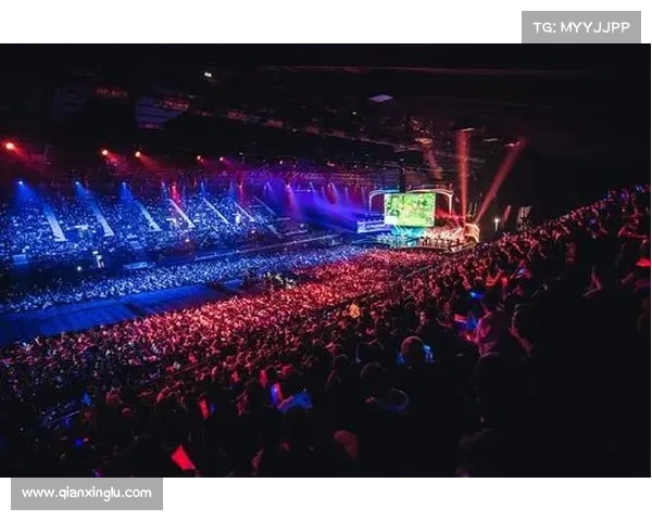 2015赛事-2015年总决赛视频 2015赛事-2015年总决赛视频